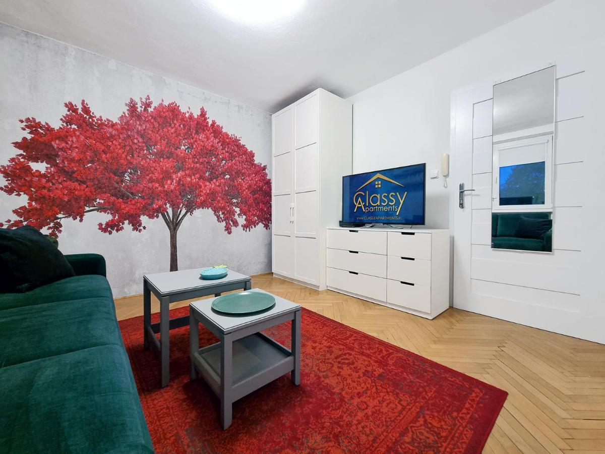 Apartment Classy - - Centrum *